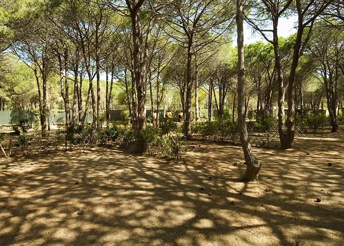 Vakantiepark Villaggio Del Riso 3*